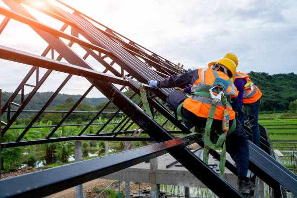 Best Gutter Installation and Roofing  in Barnesville, MN