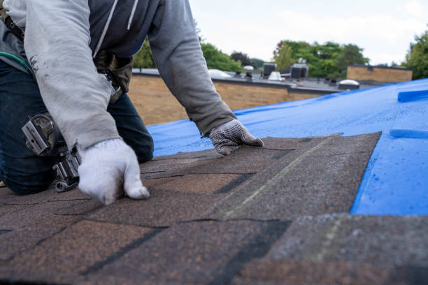 Best New Roof Installation  in Barnesville, MN