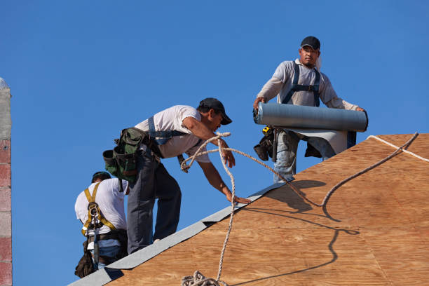 Best Metal Roofing Contractor  in Barnesville, MN