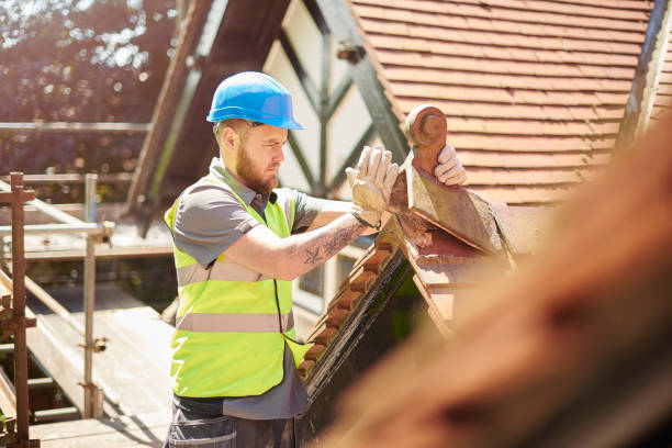 Best New Roof Installation  in Barnesville, MN