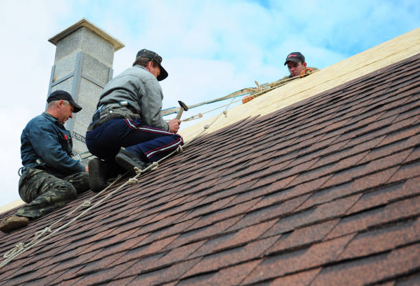 Best Residential Roofing Contractor  in Barnesville, MN
