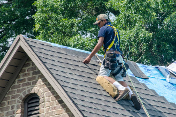 Best Roof Repair Services  in Barnesville, MN